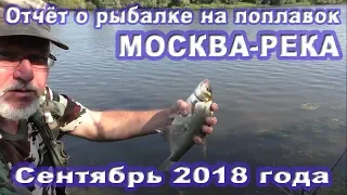 Рыбалка на Москва-реке в сентябре 2018 года на поплавок