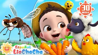 Viejo Macdonald Tenía Una Granja+Canción de Pica Pica | LiaChaCha en Español - Canciones Infantiles