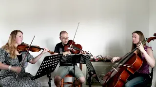 Love Story - Taylor Swift -  Trio Arrangement - Camilli String Quartet