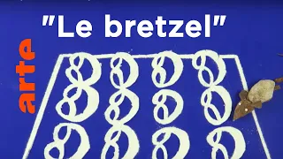 Die Brezel richtig drehen | Karambolage | ARTE