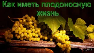 Как иметь плодоносную жизнь А  Н  Оскаленко  МСЦ ЕХБ ПРОПОВЕДЬ 2020