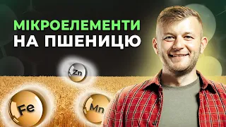 ЧИ ПОТРІБНІ МІКРОЕЛЕМЕНТИ НА ПШЕНИЦЮ?