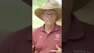 Joel Salatin WHY Pastured Poultry