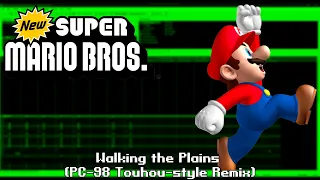 Walking the Plains (PC-98 Touhou-style Remix) | New Super Mario Bros.