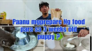 Paanu mgprepare Ng food para sa 3 weeks old puppy? Alamin SA video nato,#EskimosTv#EskimosKennel