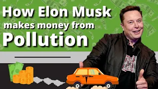 How Elon Musk's Tesla makes profit from Emissions Credit ? |The Mukul's