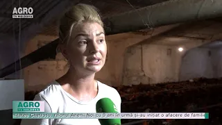 AGRO TV News – 03. 11. 2020