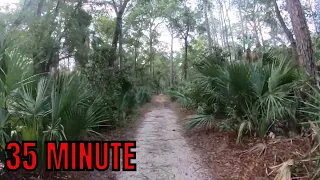 35 Minute Virtual Treadmill Trail Run at Hunting Island State Park