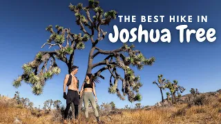 Best Hike in Joshua Tree: Ryan Mountain + Hall of Horrors + Trail Run through the Joshua Trees