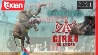 Ikën çadra e cirkut, drejtori ndërhyn live në Zonë e Lirë; Arian Çani: Ik se ka rënë tërmet
