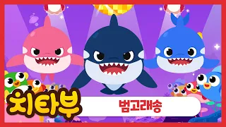 [ENG sub] 바다의 최고 사냥꾼 | 범고래송 (Killer Whale Song) | 인기동요 | 여름동요 | 바다동요 | 바다 동물 동요 | 신나는 동요 | #치타부