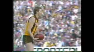 1987 VFL Preliminary Final - Hawthorn Vs Melbourne @ VFL Park (Waverley Park)