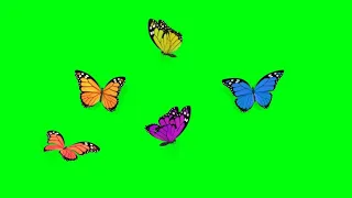 Colourful Butterflies Flying Animation Green Screen overlay Effects HD