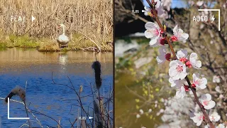 Квіти на балконі 🌷 Видалила родимки