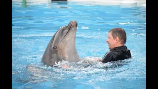 Шарм-эль-Шейх: купание с дельфинами.