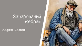 Зачарований жебрак. Карел Чапек. #аудіоказка