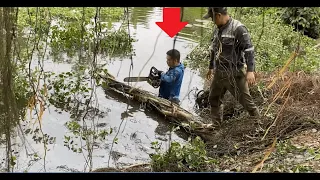 Man cuts tree in deep canal | Cutting down overgrown trees at high altitudes is very dangerous Clean