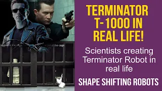 Shape Shifting Robots | Tamil | Terminator T-1000 in Real Life | Mass Avatar | Vedhesh