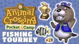 Animal Crossing: Pocket Camp - First Fishing Tourney Guide