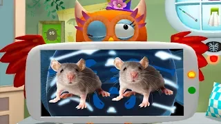 Fun Pet Animal Care Games - Little Fox Animal Doctor - Fun Pet Vet Animal Doctor Care Games For Kids