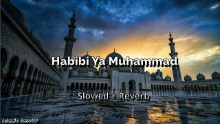 Habibi Ya Muhammad✨ (slowed reverb) Beautiful Nasheed Naat  l Lofi Version l Islamic Naat 2024