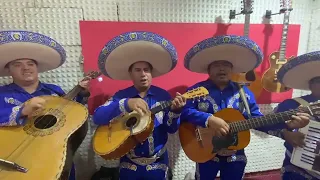 Le Canto a mi Madre / Mariachi Juvenil Sin Fronteras