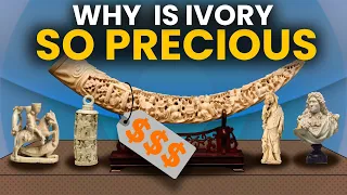 Why is IVORY so Precious ?