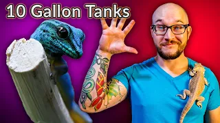 Top 5 Reptiles That Can Live In A Ten Gallon Enclosure FOREVER | Vol. 2