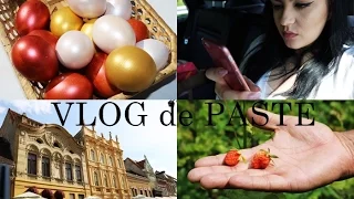 Vlog de Paste | Intalnire cu bloggeritele, Brasov, In vizita la bunici