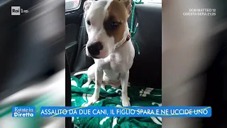 Assalito da due cani, il figlio spara e ne uccide uno - Estate in diretta - 28/07/2022