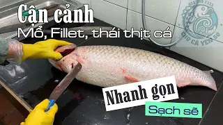 Cận cảnh mổ, fillet, thái thịt CÁ TRẮM GIÒN 7,3kg sạch sẽ nhanh gọn