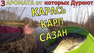 3 САМЫХ лучших АРОМАТА. Уловистая Насадка на Карася. Карась Карп Сазан Рыболовная насадка для Карася