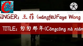 王菲 (wángfēi)Faye Wong - 匆匆那年(Cōngcōng nà nián - in a hurry that year)【动态歌词,PINYIN & ENGLISH LYRICS】