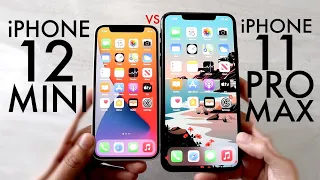 iPhone 12 Mini Vs iPhone 11 Pro Max! (Comparison) (Review)