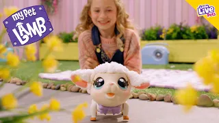 LITTLE LIVE PETS I MY PET LAMB TVC I 15