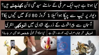 Random Facts Around the World | Part 30 | Urdu / Hindi