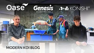 Modern Koi Blog #5867 - Macht ein Wasserwechsel mit Osmosewasser Sinn?