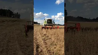 Claas mega 204 harvesting soybeans