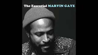 Marvin Gaye ⁞ Sexual Healing