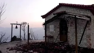 WARNING: GRAPHIC CONTENT - Greece wildfire leaves major damage in its wake