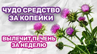 ПЬЮ И ОЖИВАЮ!  КОПЕЕЧНОЕ СРЕДСТВО БЫСТРО ВОССТАНОВИТ ПЕЧЕНЬ!