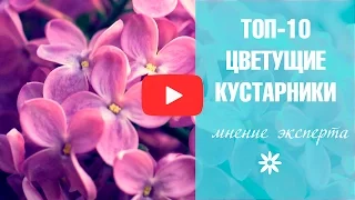 Цветущие кустарники 🌟 Топ-10 садовых кустарников 🌟