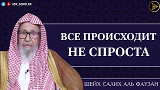 Ничего не происходит просто так | Шейх Салих аль Фаузан