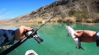 Catching BIG bass in the middle of the DESERT on GIANT swimbaits! (PART 1)