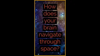 ❓ How does your brain navigate through space? ❓