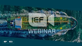 Webinar: Oil and Gas Investment in the New Risk Environment