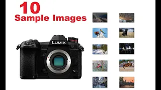 Panasonic G9 Sample Images [ Photo Gallery ] pro camera for landscape, sports, wildlife photography