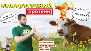 СЫВОРОТОЧНЫЙ ПРОТЕИН какой лучше? В чём разница?