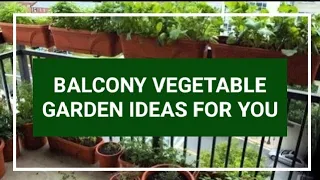 BALCONY VEGETABLE GARDEN IDEAS FOR YOU | balcony garden