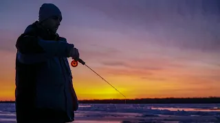 Вечерняя рыбалка на хищника. Зимняя рыбалка : Рыболовный дневник_2019